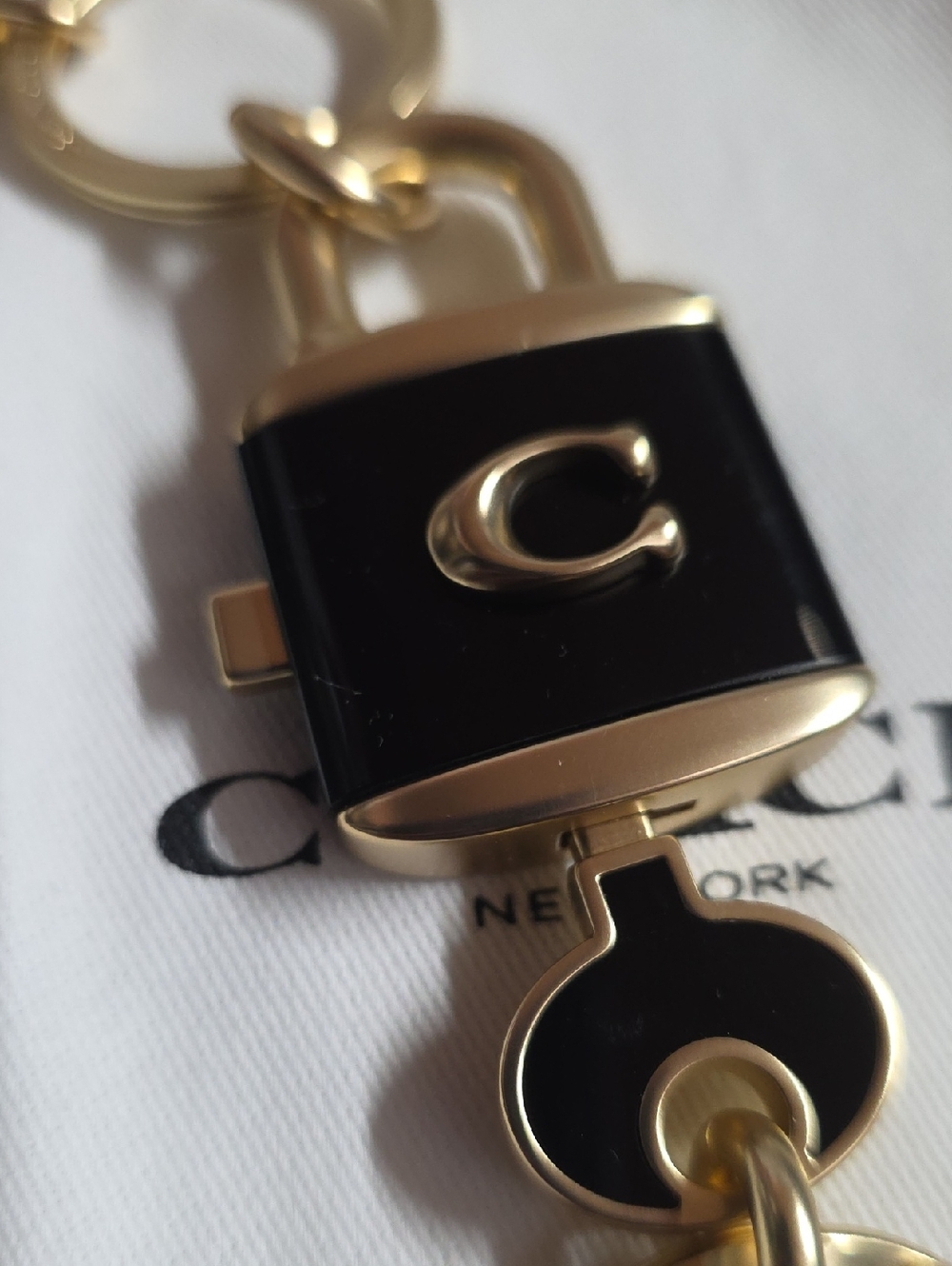 Coach 2 Pc. Padlock & Key Keyrings New W/ Dusty - Picture 5 of 9